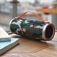 Haut-parleur Bluetooth portable