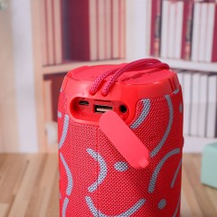 Mini Haut-parleur Bluetooth portable