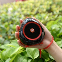 Mini Haut-parleur Bluetooth portable
