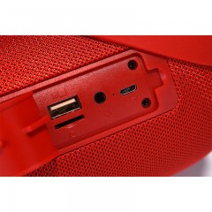 Haut-parleur Bluetooth portable
