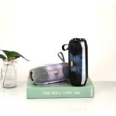 Mini Haut-parleur Bluetooth portable