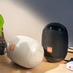 Haut-parleur Bluetooth portable avec radio FM