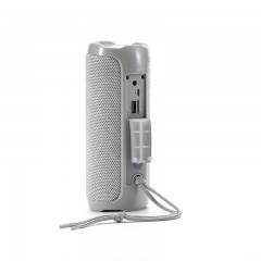 Haut parleur Bluetooth sans fil portable