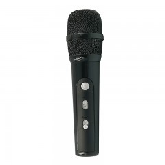 Enceintes Portables Bluetooth avec Microphone à karaoké