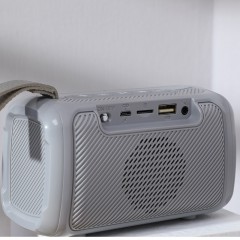 Haut parleur Bluetooth Portable avec lumière LED