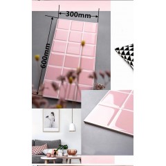 Carreaux de mur  300 * 600mm