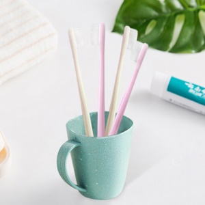 Brosse à dents 10pcs