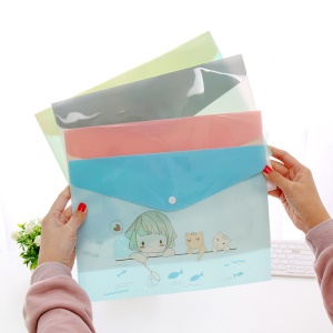 Porte documents plastique