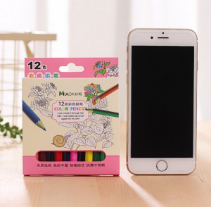 Crayon de couleur en bois pqt de 24 et 12