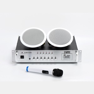Amplificateur audio Bluetooth intégré