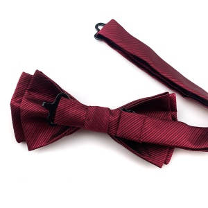 Nœud papillon homme