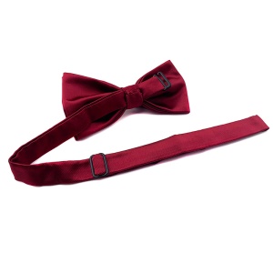 Banquet costume noeud papillon