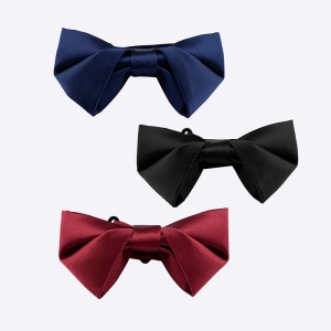 Nœud papillon homme