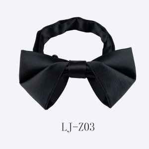 Nœud papillon homme