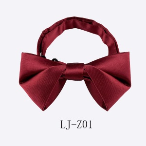 Nœud papillon homme