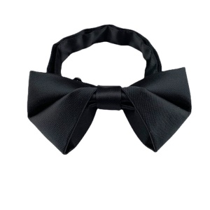 Nœud papillon homme
