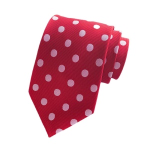 Cravate pour hommes