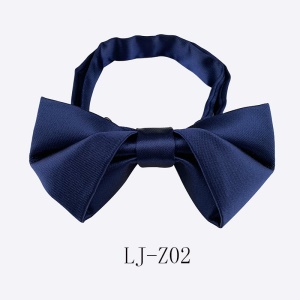 Nœud papillon homme