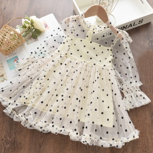 Mini robe transparente à longue manches