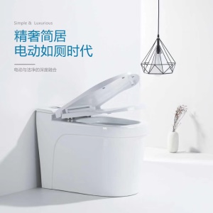 Toilettes électriques sans réservoir à ouverture et siphonage par impulsion