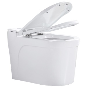 Toilettes électriques sans réservoir à ouverture et siphonage par impulsion