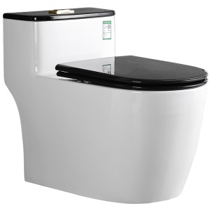 Siège Toilette Siphon silencieux en céramique