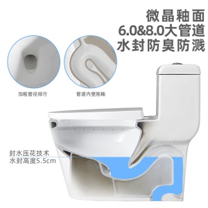 Siège Toilette Siphon silencieux en céramique