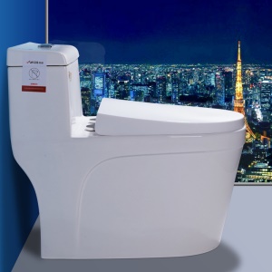 Toilette monobloc en céramique, silencieux, système de désinfection automatique