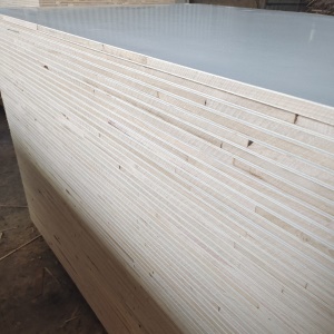 Panneau composite Paulownia sans peinture