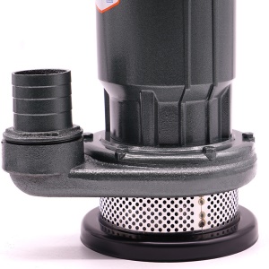 Pompe à eau 550W