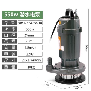 Pompe à eau 550W