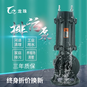 Pompe submersible 1.1KW