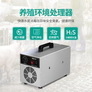 Stérilisateur portable à l'ozone 100W