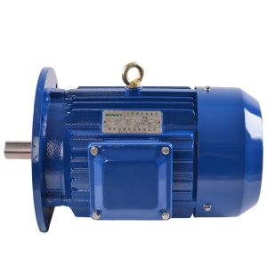 Moteur électrique AC 1.1 Kw