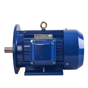 Moteur électrique AC 1.1 Kw