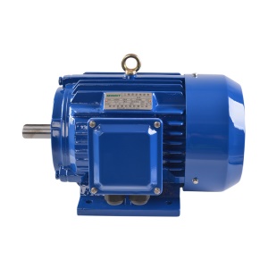Moteur électrique AC 1.1 Kw