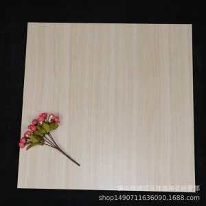 Carreaux de sol céramique antidérapant imitation marbre mat 600x600mm