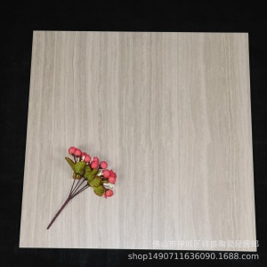 Carreaux de sol céramique antidérapant imitation marbre mat 600x600mm