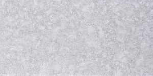 Carreaux muraux céramique imitation pierre modèle 300 * 600mm
