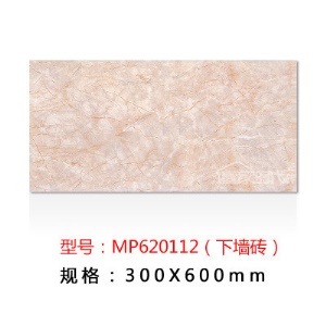 Carreaux  muraux  en céramique émaillée 300x600mm