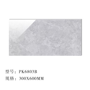 Carreaux muraux émaillés gris imitation marbre 300x600mm