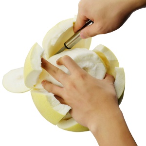 Couteau de pelage de pamplemousse acier inoxydable