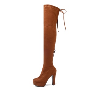 Femmes bottes compensés à talon épais avec hauteur sur le genou