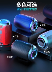 Mini Haut-parleur Bluetooth portable