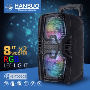Haut-parleur Bluetooth subwoofer avec microphone sans fil 8 pouces