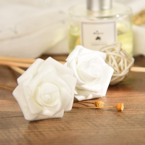 Ensemble d'aromathérapie avec des huiles essentielles parfum durable
