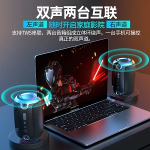 Mini Haut-parleur Bluetooth portable