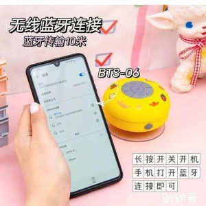 Mini Haut-parleur Bluetooth étanche avec grande ventouse