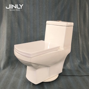 WC monobloc en céramique lavable