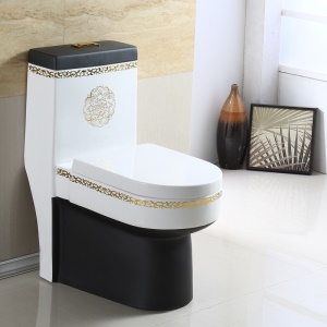 WC silencieux à siphon super tourbillon